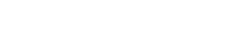 LPN Shipyard